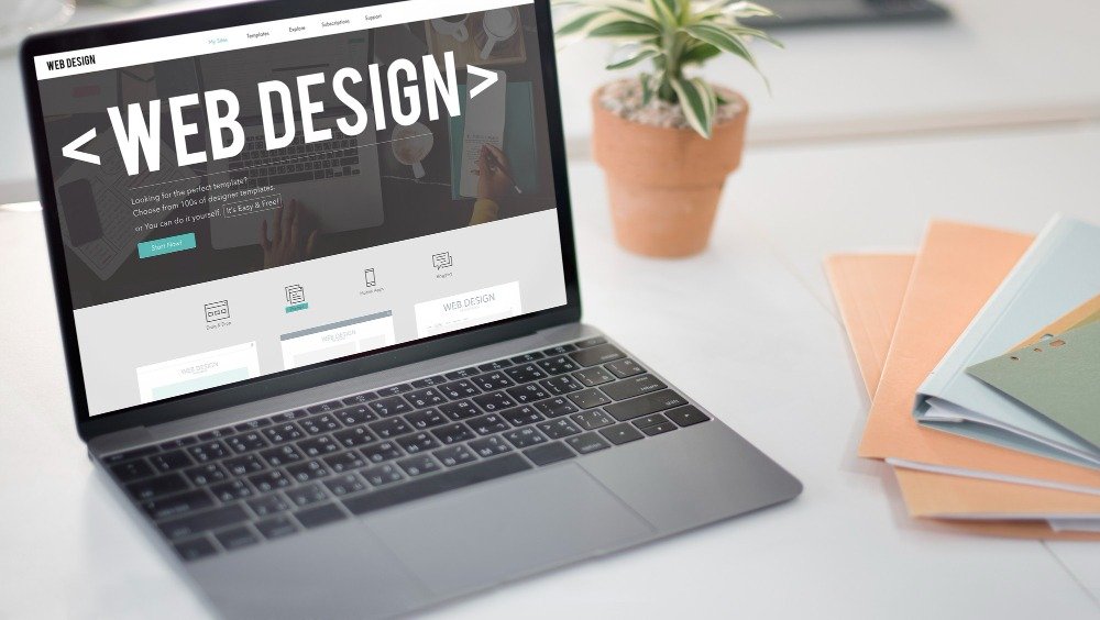Our Work & Success Stories
